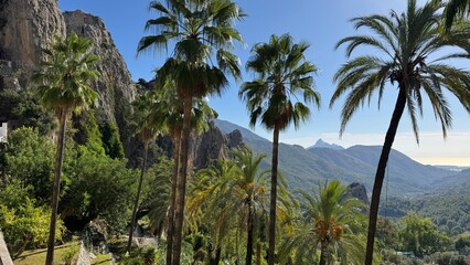 Palm Oasis: A serene oasis, where towering palm trees sway gently against a backdrop of rolling hills, clear blue skies, creating a picturesque vista and a sense of tranquil escape.
