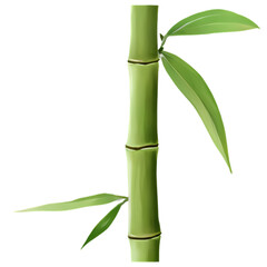 "A single bamboo stalk with leaves in a soft watercolor wash style, cute and artistic, clipart, transparent background."