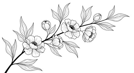 Elegant HandDrawn Floral Branch with Blooming Flowers and Buds.