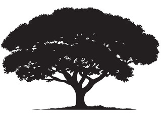 Modern Rounded Canopy Tree 2D Vector Line Art Minimal Nature Silhouette