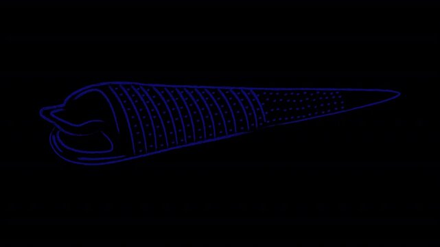 Animated shell in a minimalist style with a dry pastel effect. Alpha channel