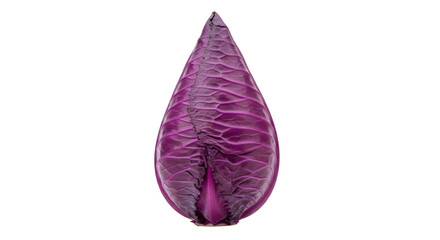 Isolated red cabbage with teardrop shape and layered leaves for healthy cooking and recipes