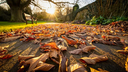 Warm autumn scenery with dry fallen leaves covering the ground, illuminated by soft golden sunlight. A calm and nostalgic seasonal moment capturing the beauty of fall and the gentle change of nature.