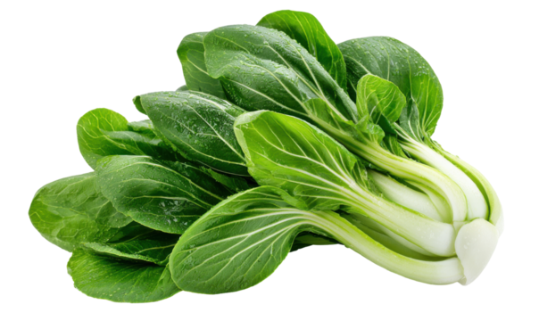 Fresh bunch of vibrant green bok choy leaves, a nutritious and healthy vegetable.