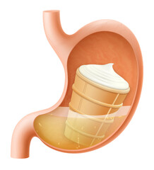 Human Stomach with vanilla ice cream in a waffle cup. The stomach digests ice cream. A stomach filled with delicious sweet food. Realistic 3d Vector illustration. Food digestion process.