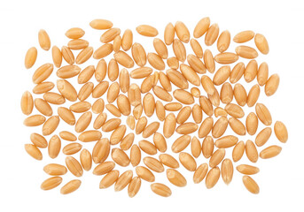 Golden grain kernels scattered isolated on a transparent background
