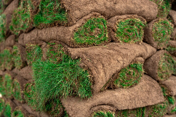 Close-up of Sod pallet with cultivated rolled grass ready for gardening