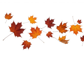 Autumn leaves falling isolated on a transparent background