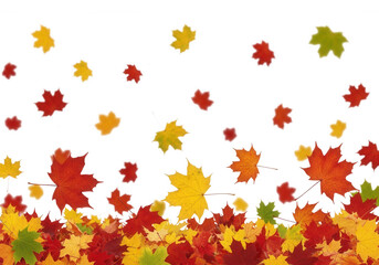 Autumn leaves falling red yellow isolated on a transparent background
