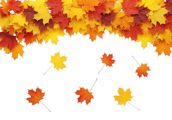 Autumn leaves falling isolated on a transparent background