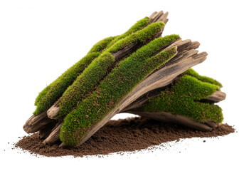 Mossy wood pieces on dark ground isolated on a transparent background
