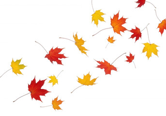 Autumn leaves falling on black isolated on a transparent background