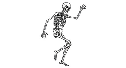 Isolated funny skeleton, Halloween design element with dancing anatomical human bones