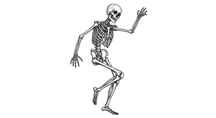 Isolated funny skeleton, Halloween design element with dancing anatomical human bones