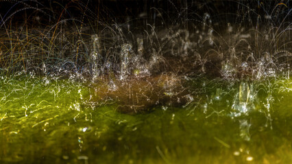 WATER - Splashes of drops falling on the water surface
