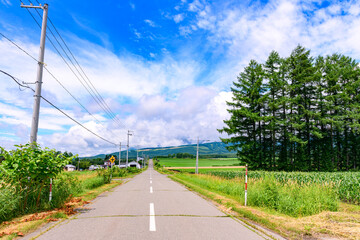 北海道 十勝の広大な農場
