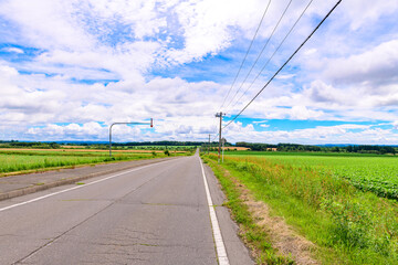 北海道 十勝の広大な農場
