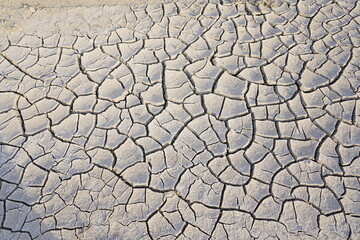 The dry and cracked soil cracked open
