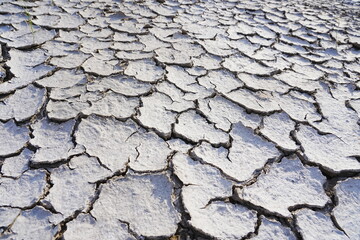 The dry and cracked soil cracked open