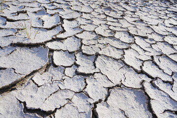 The dry and cracked soil cracked open