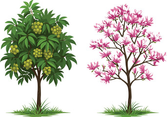 Green fruit tree and pink flowering tree side by side, vibrant foliage, seasonal contrast, botanical diversity, nature landscape, flora, garden, plant life