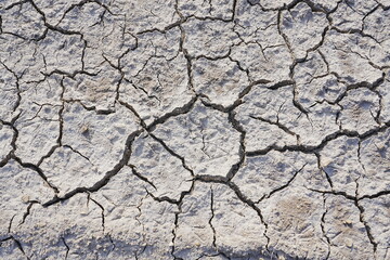 The dry and cracked soil cracked open