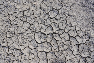 The dry and cracked soil cracked open