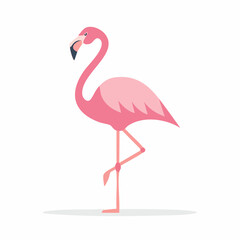 Standing Pink Flamingo Illustration Tropical Bird Vector Design