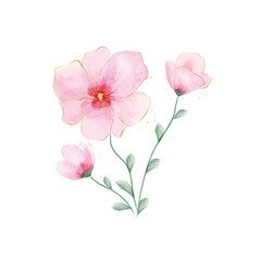 Pink Watercolor Flowers Illustration. Delicate Pink Blossoms in Watercolor Style