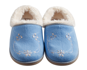 Blue Slippers A Pair Of Comfort Indoor on transparent background 