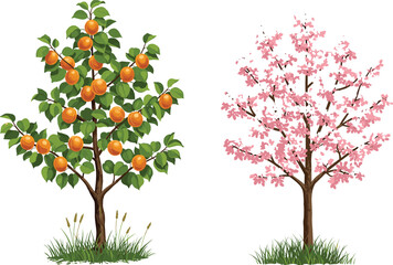 Obraz premium Orange fruit tree and pink flowering tree side by side, vibrant foliage, seasonal contrast, botanical diversity, nature, garden, flora, landscape