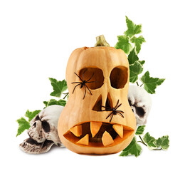 Carved scary halloween face with black spiders on Butternut squash with sculls and green twigs of...