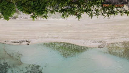 Tropical beach with white sand and palm trees