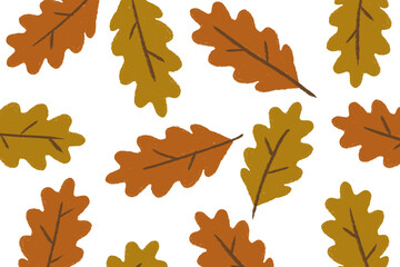 Autumn leaaves, ornage and yellow leafes on  white background, oak leaves background design fall leaf background 