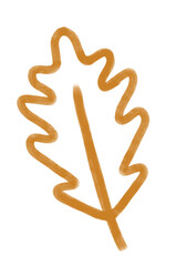 Orange oak leaf design on transparent png background, sketchy oak leaf desing for fall / autumn 