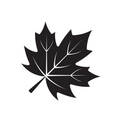 maple leaf flat icon vector