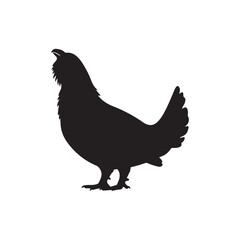 Capercaillie silhouette vector flat illustration design on white background