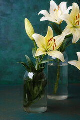 Soft cream lilies bouquet in vases on textured green background – romantic decor or wedding theme