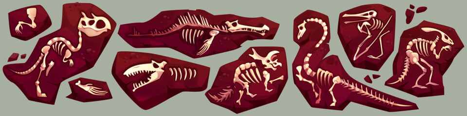 Fototapeta na wymiar Ancient dinosaur fossil skeleton fragments embedded in brown stone slabs for archeological discovery. Tyrannosaurus, pterodactyl and stegosaurus bones in soil. Paleontology excavation finds for museum