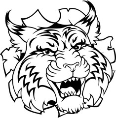 Wildcat Bobcat Sports Team Cartoon Animal Mascot