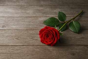 Elegant Red Rose Bloom on Weathered Wood Surface, Symbolizing Love, Romance, and Valentine's Day