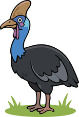 Cute Cassowary - Endemic Wildlife of Australia | Flat Vector Illustration