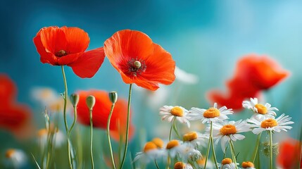 Fototapeta premium Vibrant Poppy and Daisy Meadow: A Summer Floral Landscape with Warm Red Accents