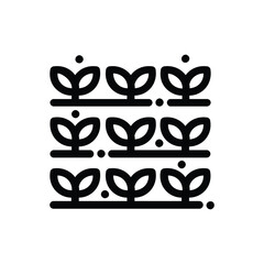 Image depicts a grid of plants on a farm