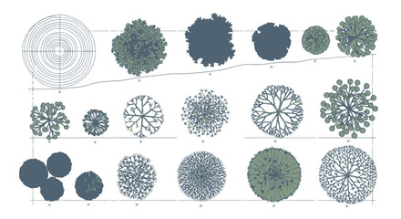 Architectural trees vector illustration, top view blueprint for landscape design, white background © Mugi