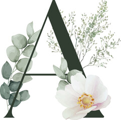 Flat design letter A is merging eucalyptus and baby's breath, pink flower, transparent, copy space