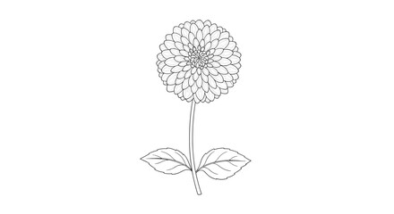 A delicate dotted illustration of a single flower with two leaves emerging from its stem.