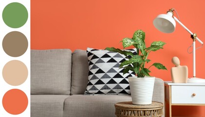 Plant on table near sofa in living room. Different color patterns