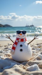 Whimsical Snowman Beach Backdrop