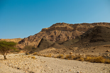 View of dry desert valley. Eilat. Israel.